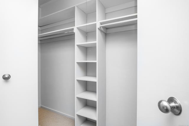 291 Heritage Vlg Unit C, Southbury, CT 06488 - spacious closet with carpet floors
