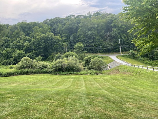 1040 Purchase Brook Rd, Southbury, CT 06488 - view of green lawn