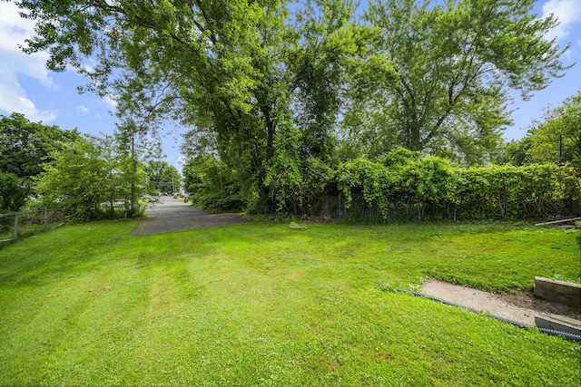47 Park Ave, Enfield, CT 06002 - view of yard