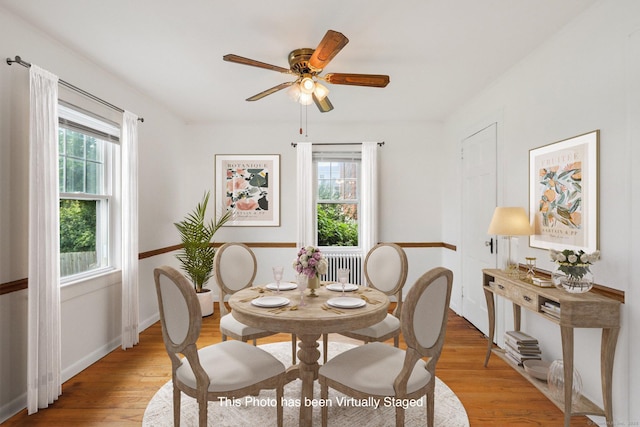 9 Fairfield Ave, Danbury, CT 06810 - dining room featuring light wood finished floors, ceiling fan, and radiator