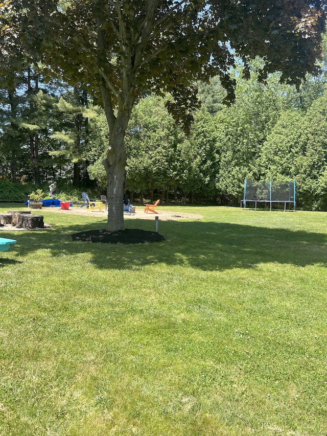 35 Depauw Cir E, Hartford, CT 06108 - view of grassy yard featuring a trampoline