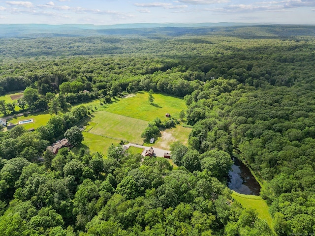 12 Jackson Rd, Killingworth, CT 06419 - aerial view of a forest and a nearby body of water