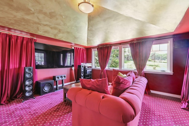 12 Jackson Rd, Killingworth, CT 06419 - carpeted cinema with baseboards