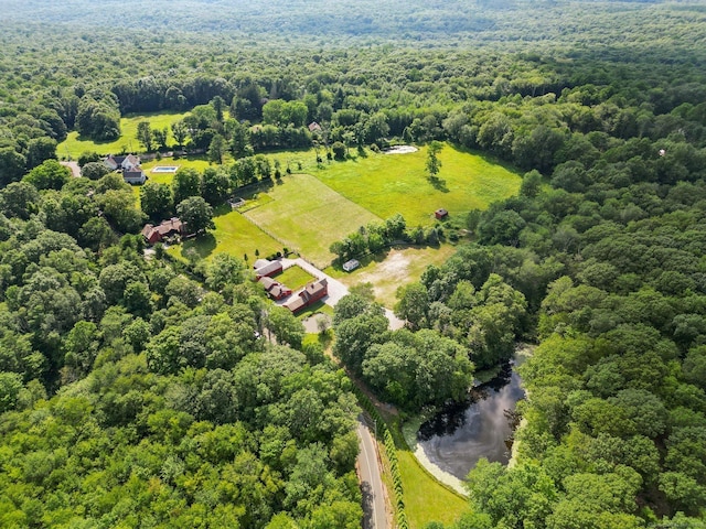 12 Jackson Rd, Killingworth, CT 06419 - view of rural area featuring a forest