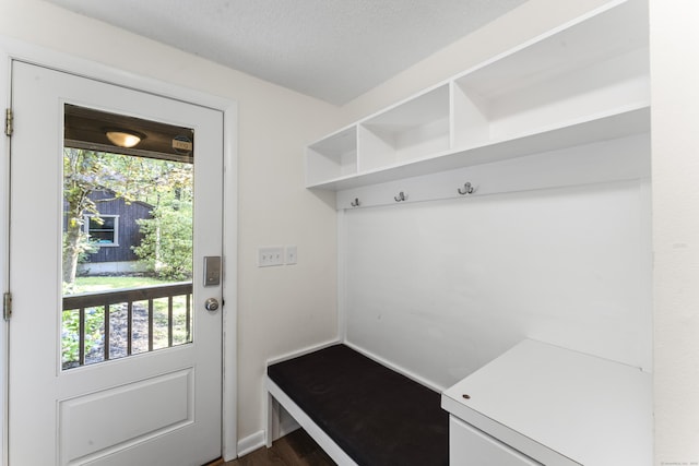 30 W Woods Rd, Burlington, CT 06013 - mudroom with healthy amount of natural light, dark wood-style flooring, and a textured ceiling