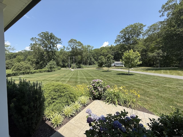 22 Thorson Rd, Oxford, CT 06478 - view of grassy yard featuring a wooded view