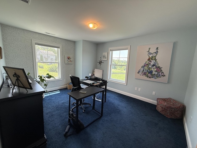 22 Thorson Rd, Oxford, CT 06478 - home office with dark carpet and baseboards
