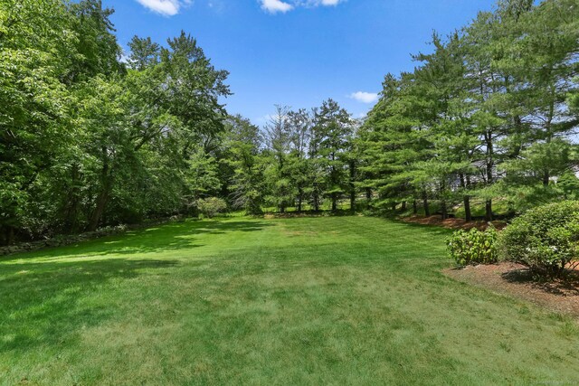 78 Kings Hwy S, Westport, CT 06880 - view of grassy yard
