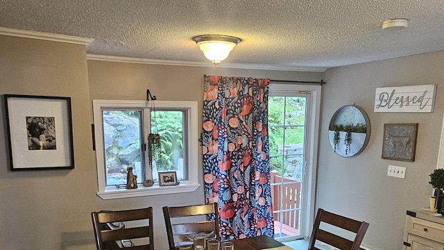 33 Tanner Ave, Norwich, CT 06360 - dining room featuring a textured ceiling and crown molding