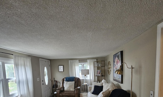 33 Tanner Ave, Norwich, CT 06360 - living room with a textured ceiling and healthy amount of natural light