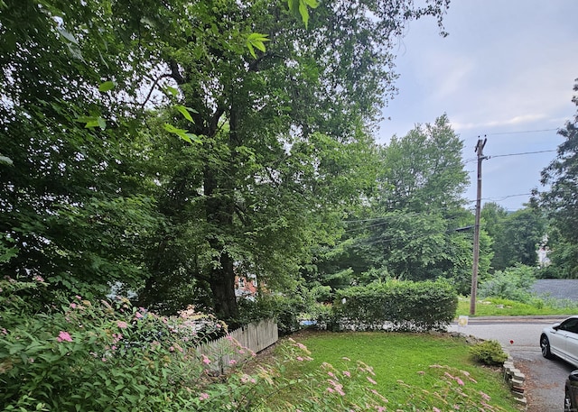 33 Tanner Ave, Norwich, CT 06360 - view of yard