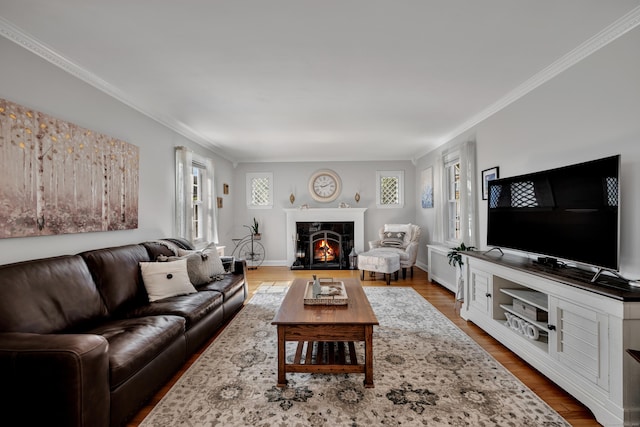 44 Durwin St, Middletown, CT 06457 - living area featuring ornamental molding, a lit fireplace, and wood finished floors