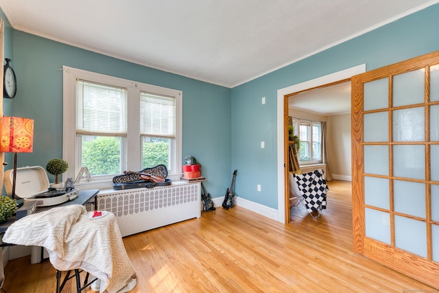 7 Ellsworth St, East Hartford, CT 06108 - living area with crown molding and light wood-style flooring