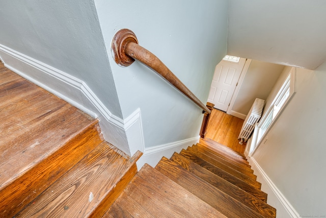 7 Ellsworth St, East Hartford, CT 06108 - staircase featuring wood finished floors and lofted ceiling