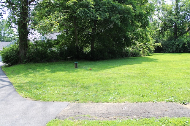 66 Long Meadow Hill Rd Unit 1, Brookfield, CT 06804 - view of grassy yard
