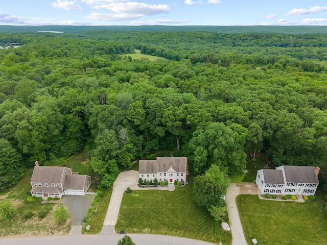 11 Acorn Dr, East Haddam, CT 06423 - bird's eye view of a heavily wooded area