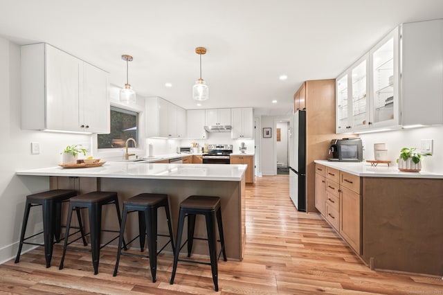 12 Warner Rd, East Haddam, CT 06423 - kitchen with stainless steel range with electric cooktop, a peninsula, freestanding refrigerator, light wood-style flooring, and under cabinet range hood