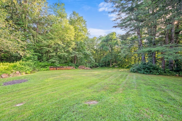 12 Warner Rd, East Haddam, CT 06423 - view of green lawn with a view of trees