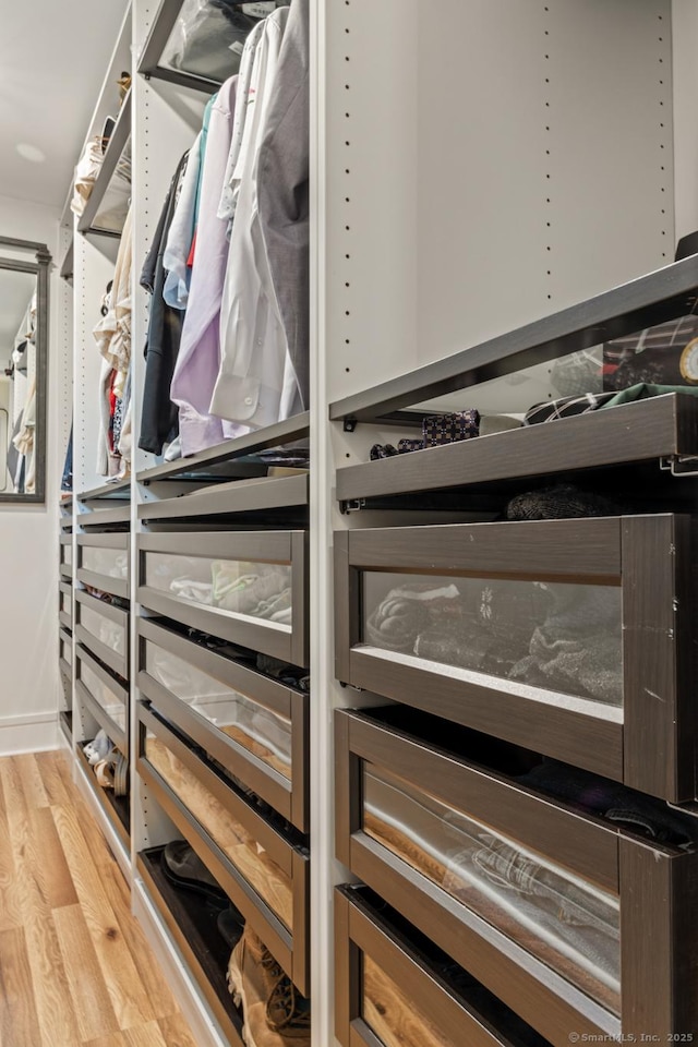 12 Warner Rd, East Haddam, CT 06423 - spacious closet featuring light wood-style flooring