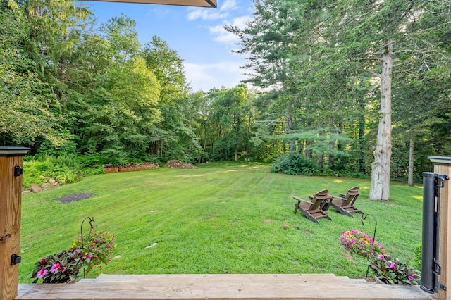 12 Warner Rd, East Haddam, CT 06423 - view of grassy yard