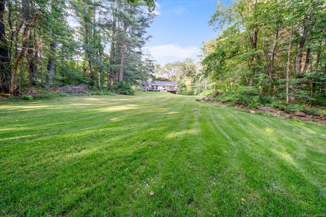 12 Warner Rd, East Haddam, CT 06423 - view of green lawn