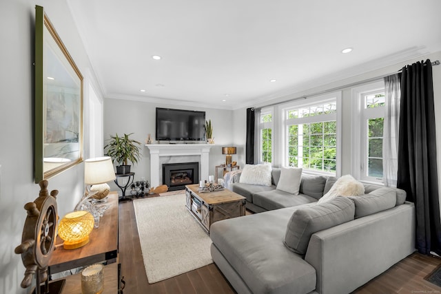 423 Whitfield St, Guilford, CT 06437 - living room featuring dark wood-type flooring, ornamental molding, a glass covered fireplace, and recessed lighting