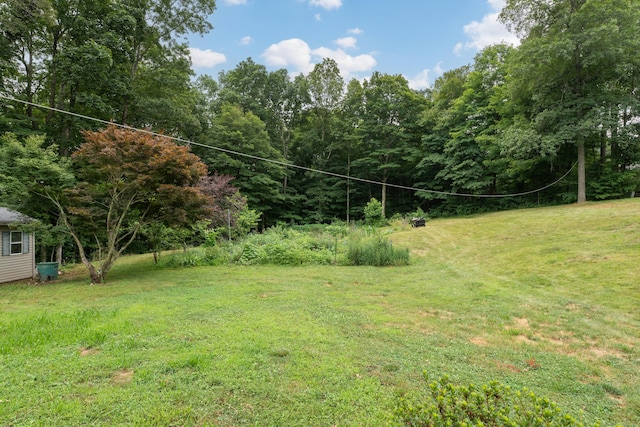 4 Overlook Dr, North Branford, CT 06471 - view of green lawn with a wooded view