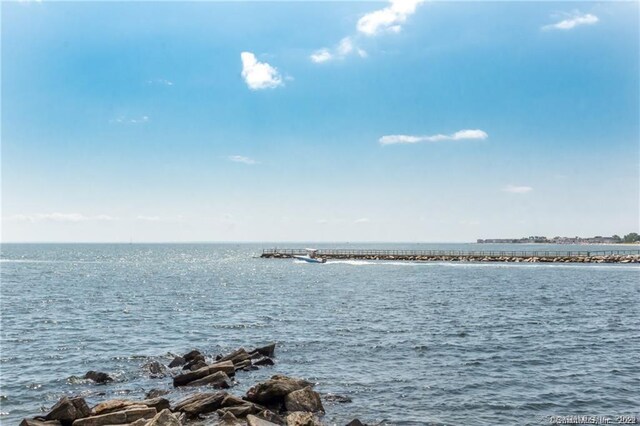 23 Harborview Pl, Bridgeport, CT 06605 - photo 23