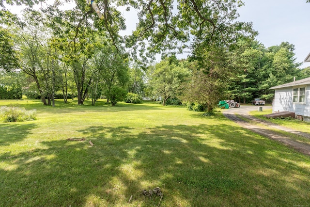19 Main St, Plymouth, CT 06786 - view of grassy yard with view of wooded area