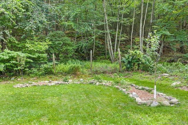 10 Gifford Ln, Norwich, CT 06389 - view of green lawn with a forest view