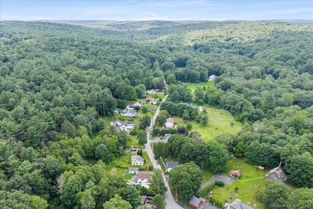 10 Gifford Ln, Norwich, CT 06389 - bird's eye view of a forest