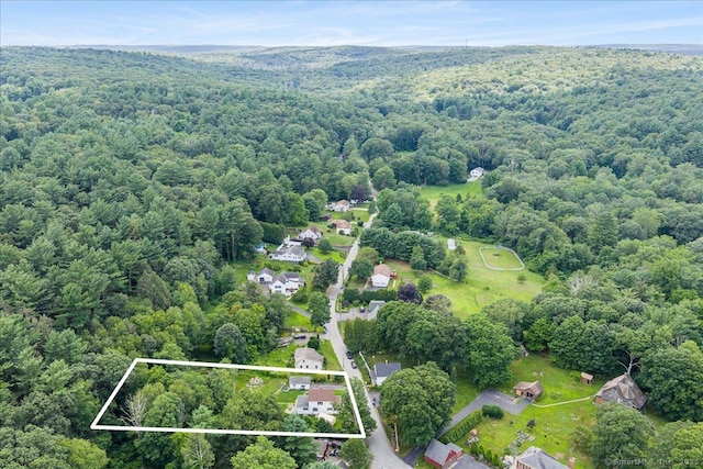 10 Gifford Ln, Norwich, CT 06389 - aerial view of property's location with a forest and property parcel outlined