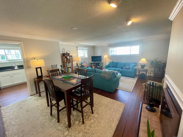 500 Prospect St Apt 4A, New Haven, CT 06511 - dining space featuring crown molding, wood finished floors, and a textured ceiling