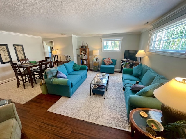 500 Prospect St Apt 4A, New Haven, CT 06511 - living area featuring a textured ceiling, wood finished floors, and crown molding