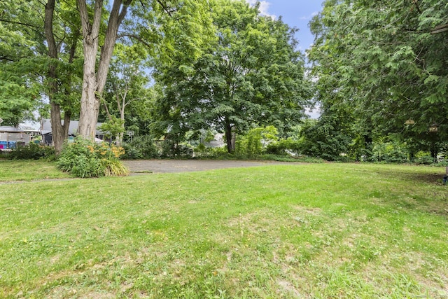 104 Greenwood St, New Britain, CT 06051 - view of green lawn