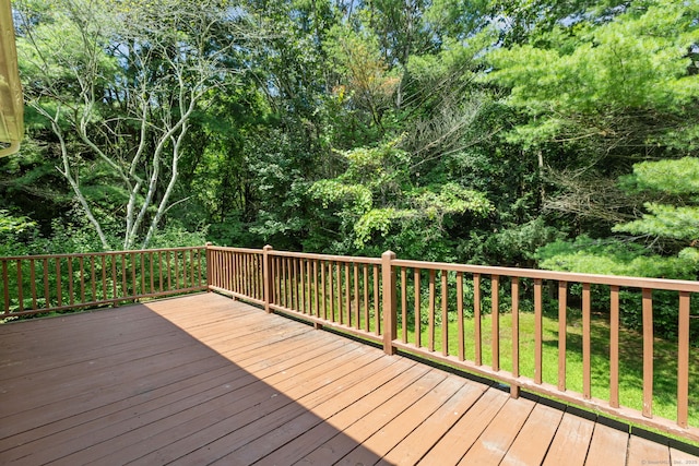 642 Storrs Rd, Mansfield, CT 06268 - photo 31