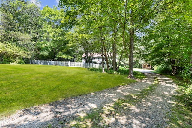642 Storrs Rd, Mansfield, CT 06268 - photo 33