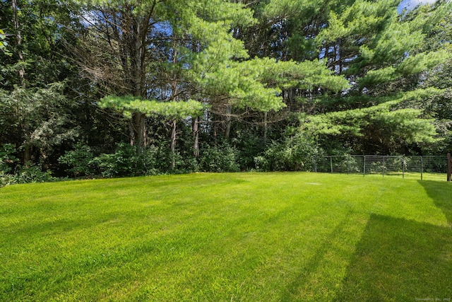 642 Storrs Rd, Mansfield, CT 06268 - photo 35