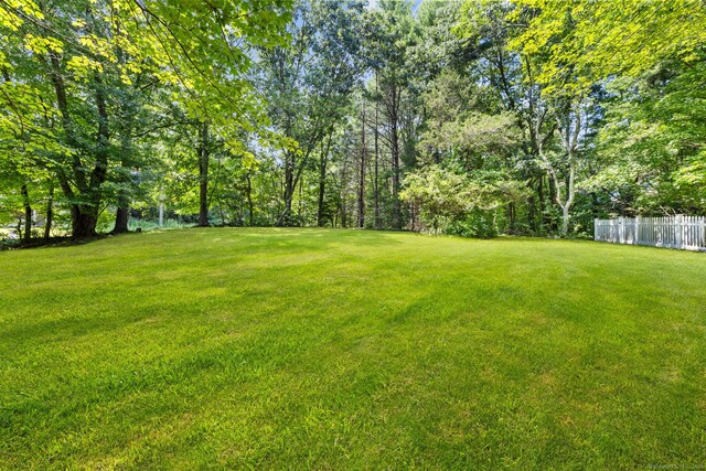 642 Storrs Rd, Mansfield, CT 06268 - photo 36