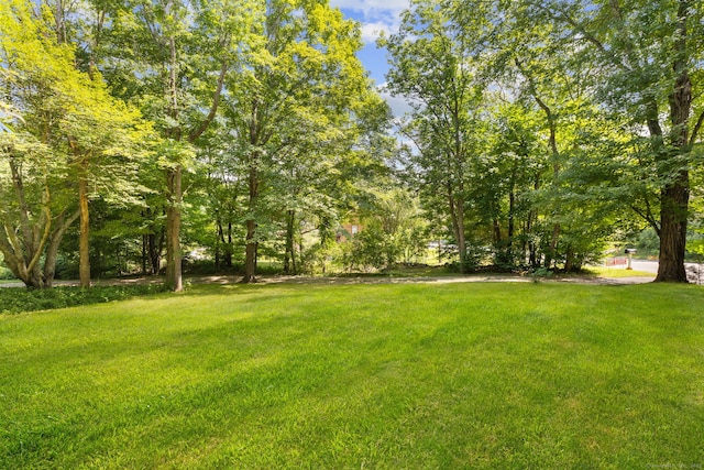 642 Storrs Rd, Mansfield, CT 06268 - photo 37