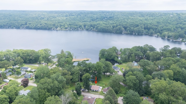 56 Wildwood Rd, East Haddam, CT 06423 - drone / aerial view of a heavily wooded area and a nearby body of water