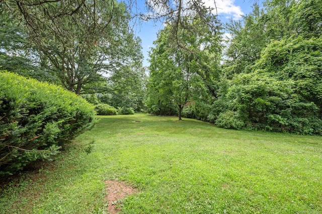 11 Danforth Ln Unit 11, Rocky Hill, CT 06067 - view of green lawn