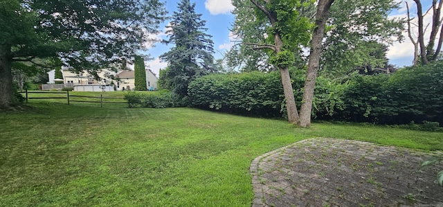 187 Two Rod Hwy, Wethersfield, CT 06109 - view of yard