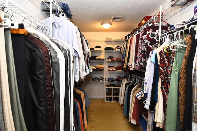 32 Sable Dr, Ledyard, CT 06339 - walk in closet with carpet flooring
