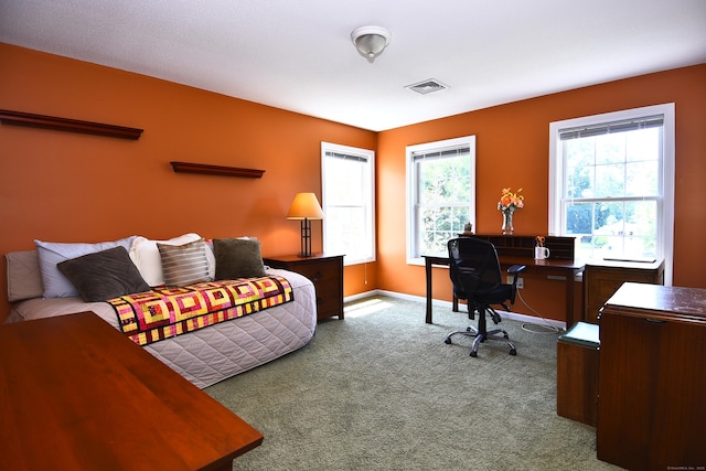 32 Sable Dr, Ledyard, CT 06339 - office with carpet and baseboards