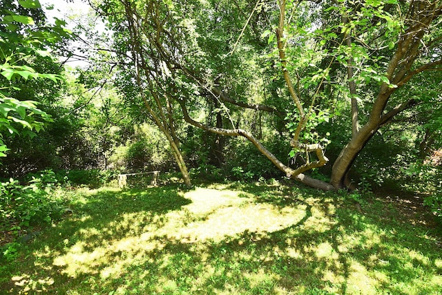 32 Sable Dr, Ledyard, CT 06339 - view of yard