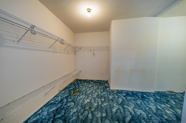226 Laurel St Apt 4, East Haven, CT 06512 - walk in closet featuring carpet flooring