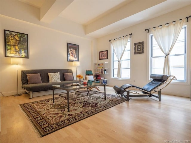 124 Court St Unit 8, New Haven, CT 06511 - living area with wood finished floors and baseboards