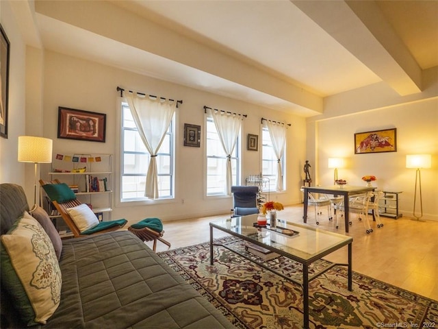 124 Court St Unit 8, New Haven, CT 06511 - living area featuring wood finished floors and baseboards