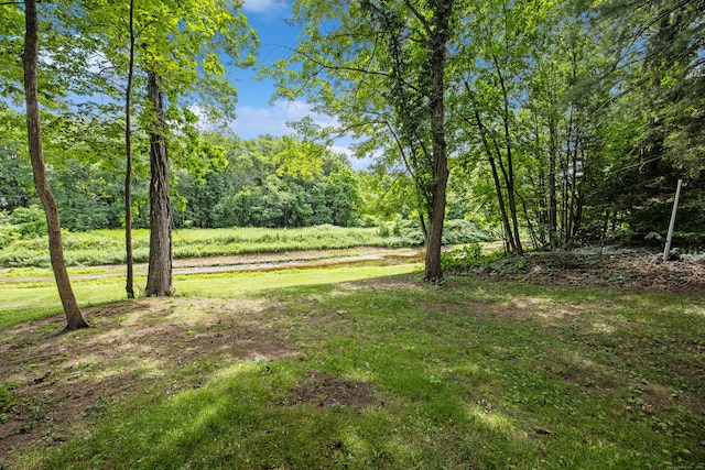 179 Brookside Rd, Newington, CT 06111 - photo 35